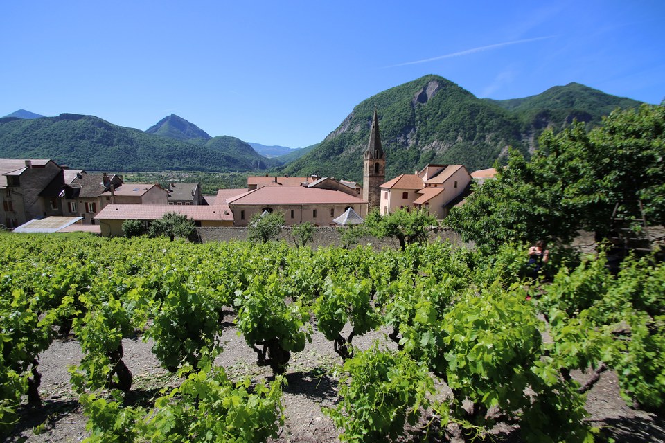 Montée du Mont-Colombis