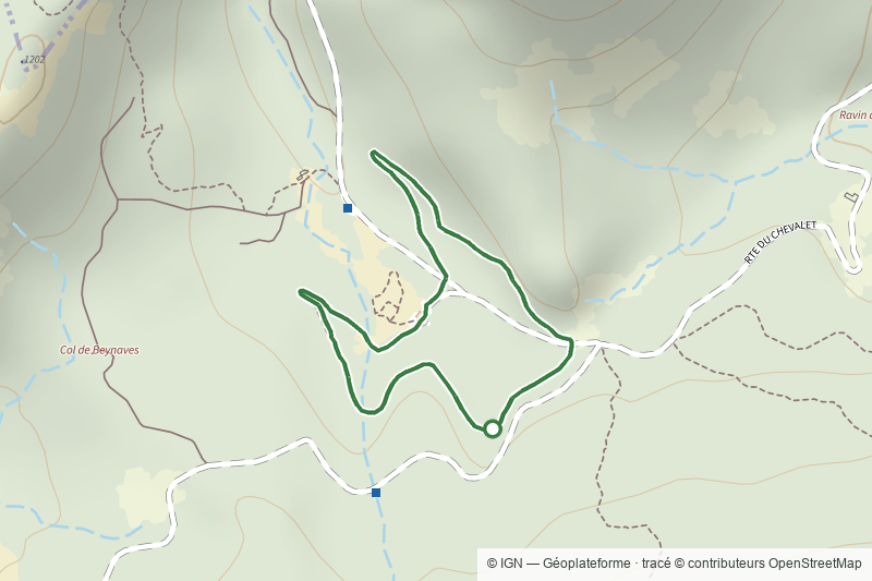 Sentier Forestier de la Pineraie