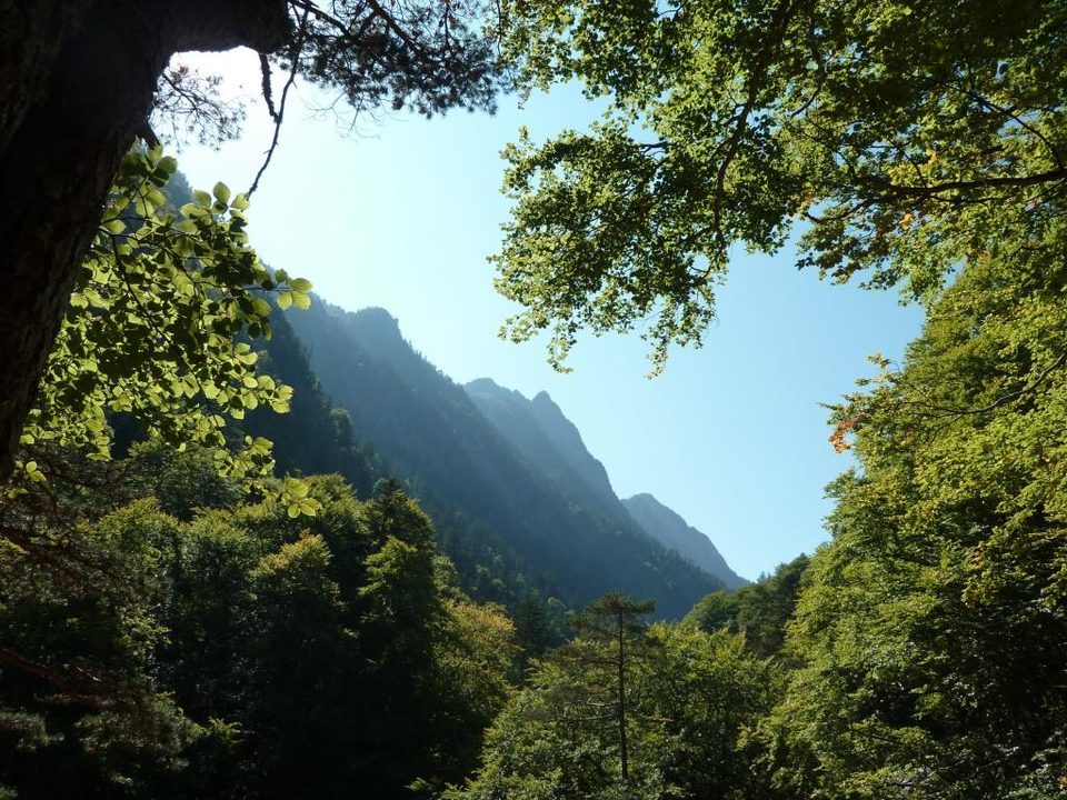 Sentier des cascades (1)