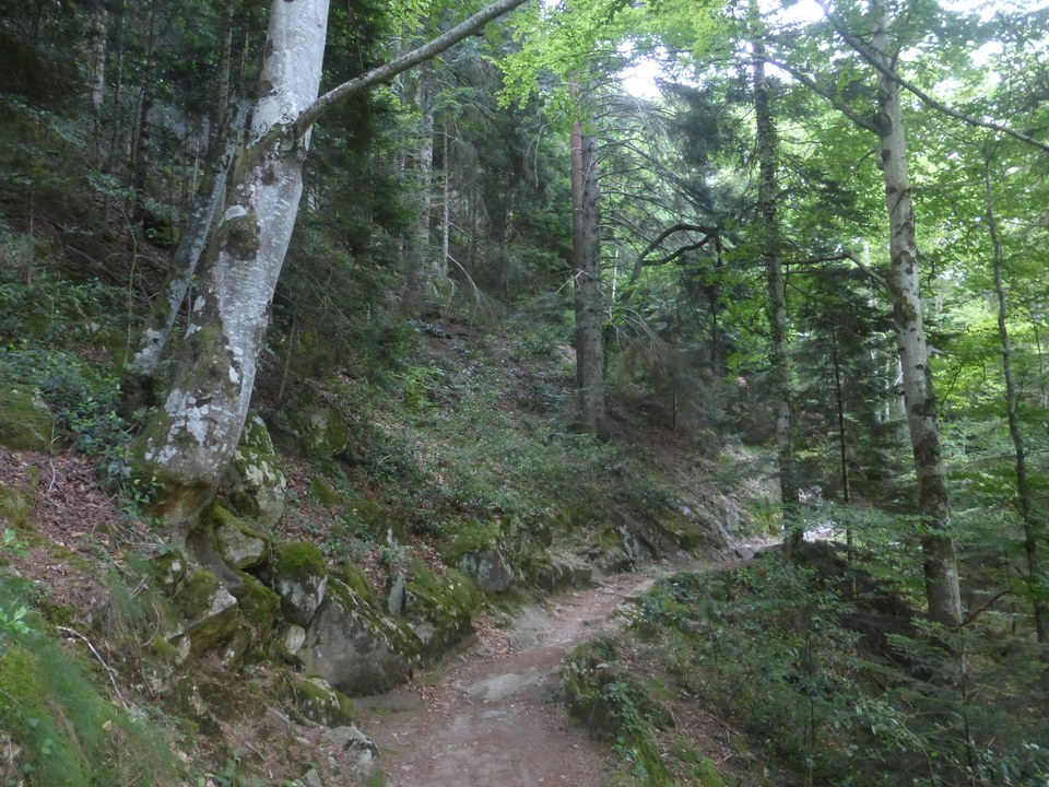 Sur le chemin des Pères