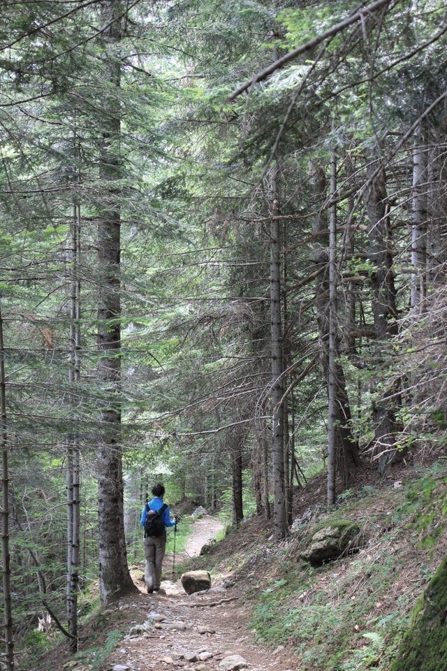 Descente dans le bois de Bourlic
