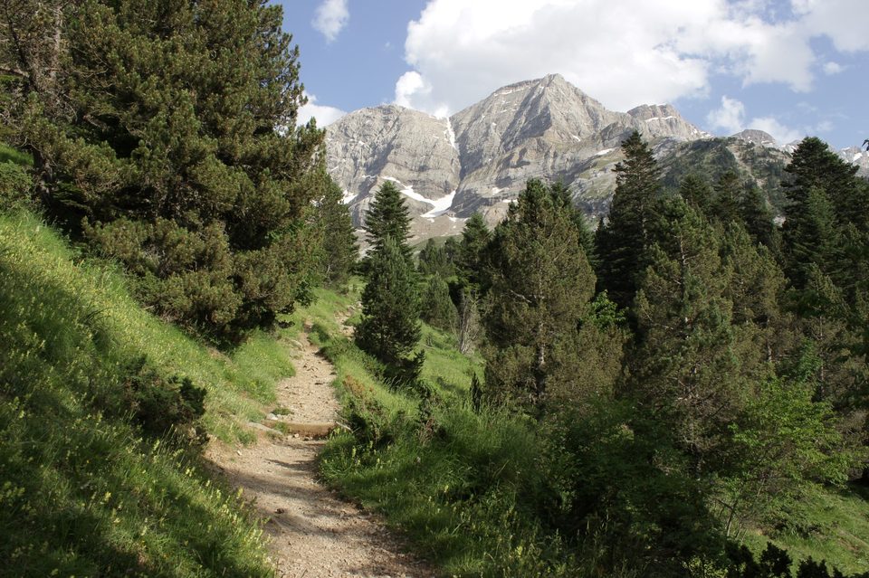 Sortie de forêt, le paysage s'ouvre...