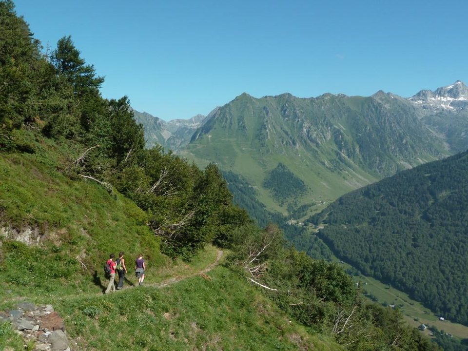 La montagne fleurie