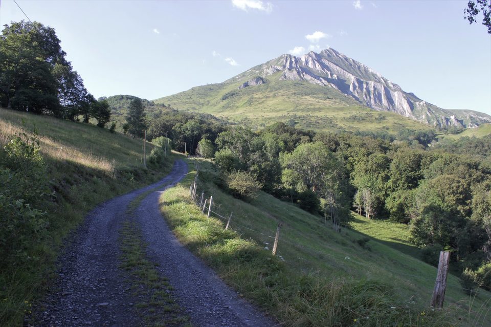 Sur la piste pastorale des Bordères