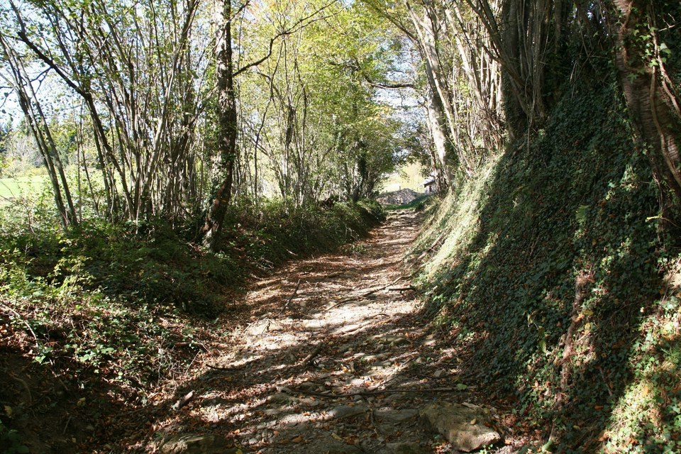 artigaus_2