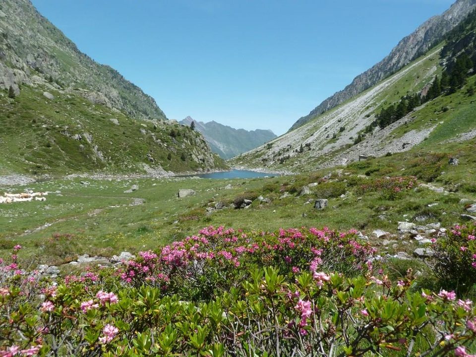 Lac du Plaa de Prat