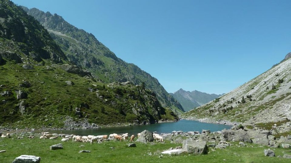 Lac du Plaa de Prat (5)