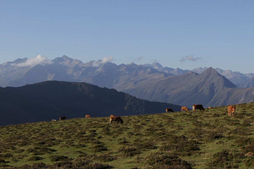 Hautacam, haut-lieu du pastoralisme