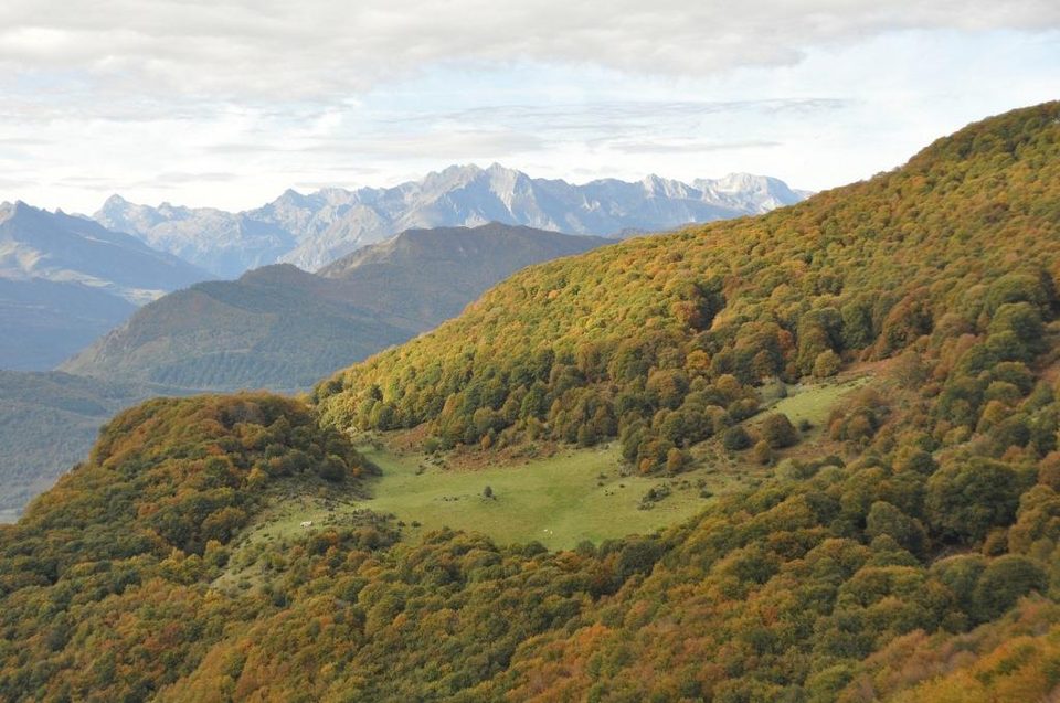vue du sommet