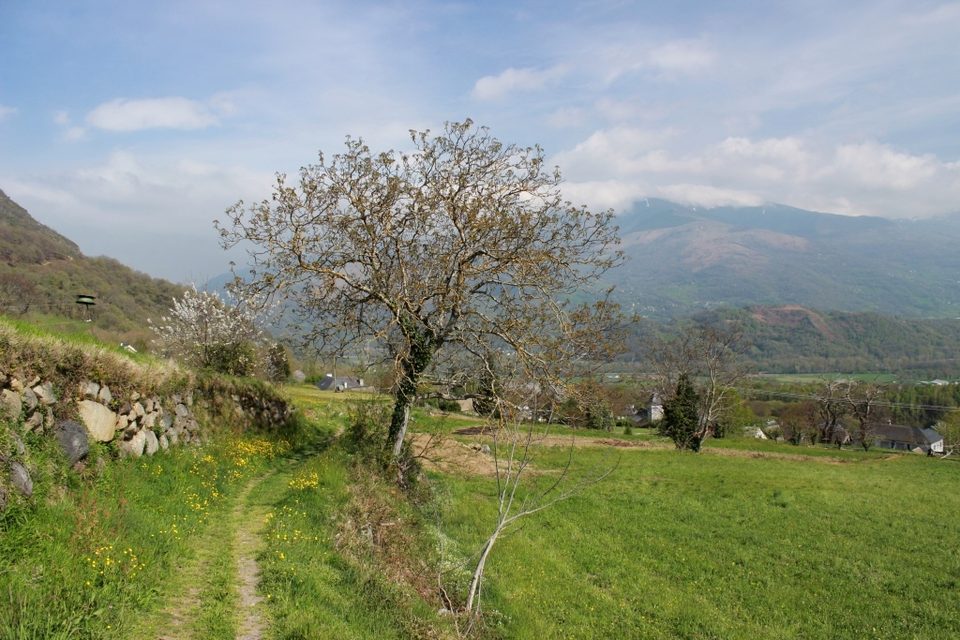 Sentier de Salles à Ouzous