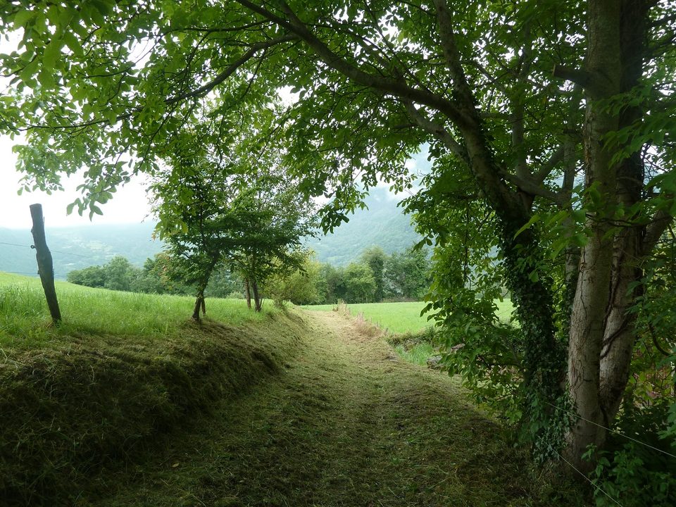 Sentier de Pierrefitte à Uz