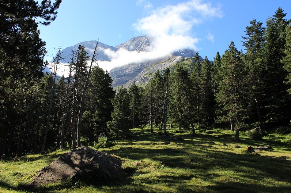 Le plateau du Pailha