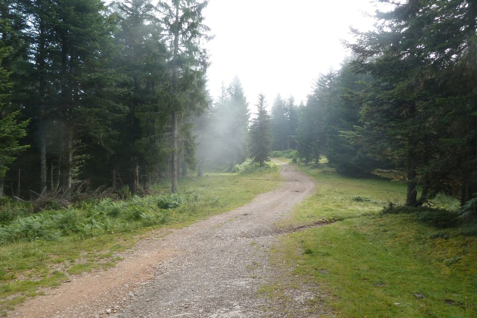 Démarrage sur les pistes forestières de Couraduque