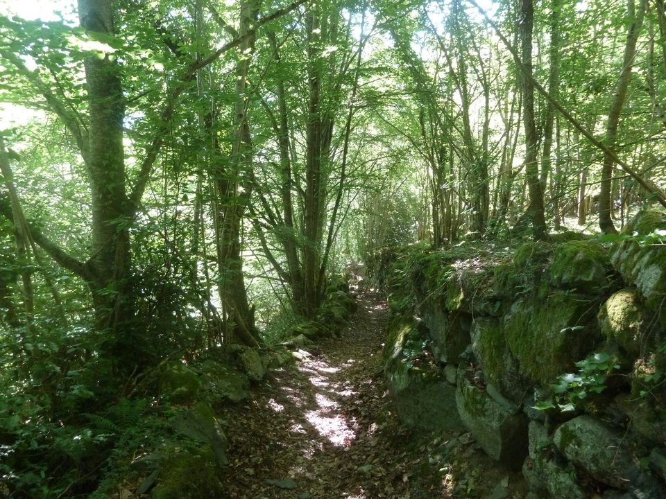 Circuit VTT n°7 - Vallée de Luz - La boucle de Viscos