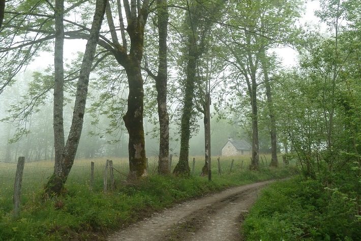 Circuit VTT n°6 - Val d'Azun - La vallée perdue