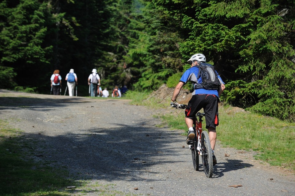 Circuit VTT n°11 - Val d'Azun - Le Liar