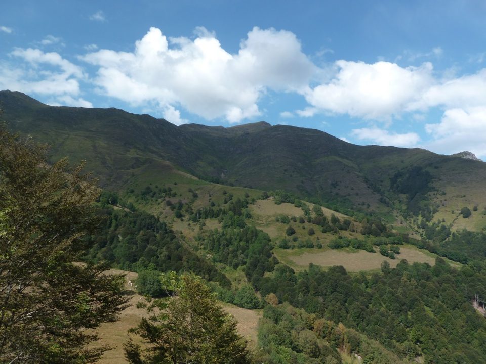 aumede-cabaliros_2