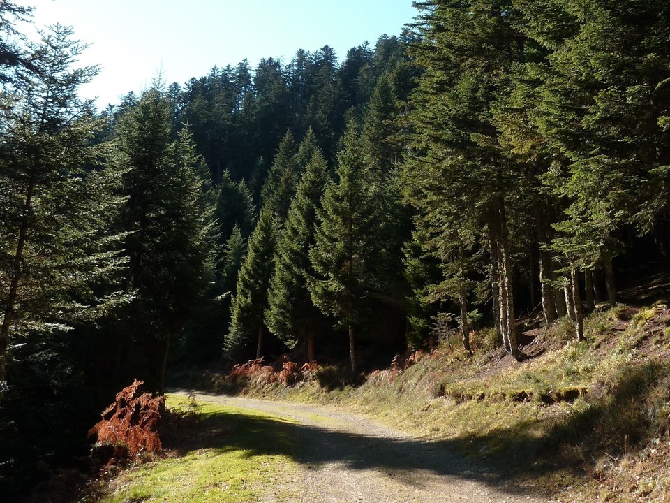 Boucle Initiation Trail Cap de Soc