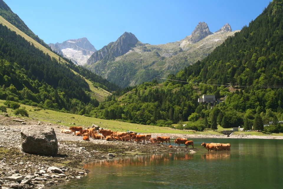 Lac et Barrage du Tech