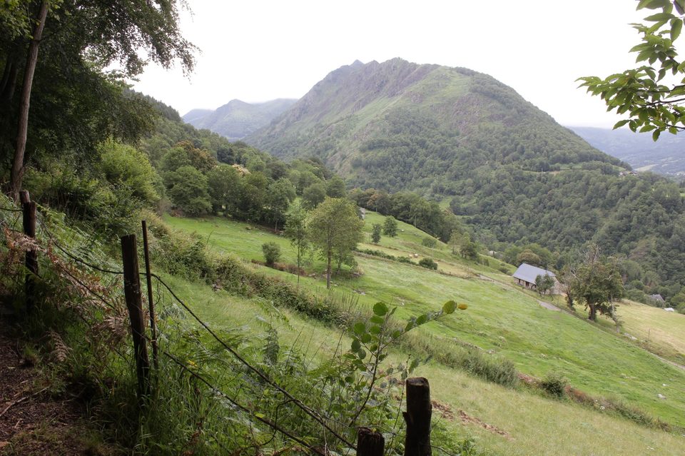 Panorama sur la vallée