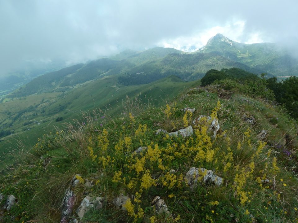 Sur la crête