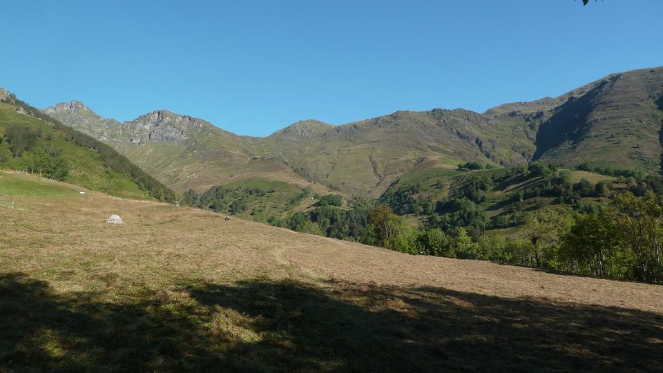 Pairies de fauche (plateau de l'Espone)