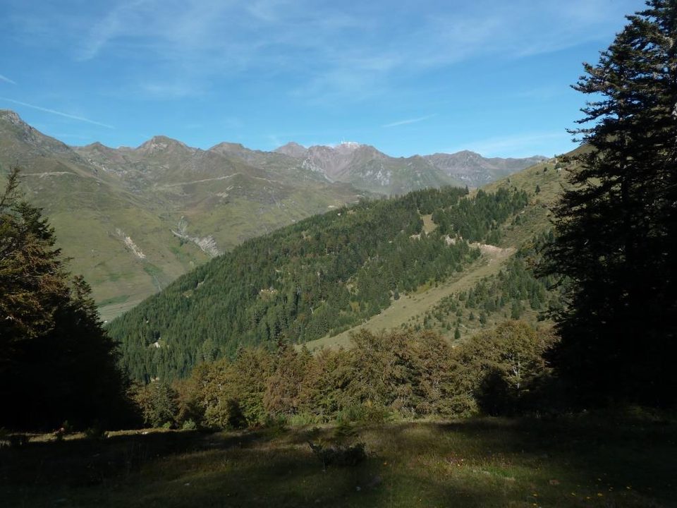 Enduro n°118 - La forêt de l'Ayré