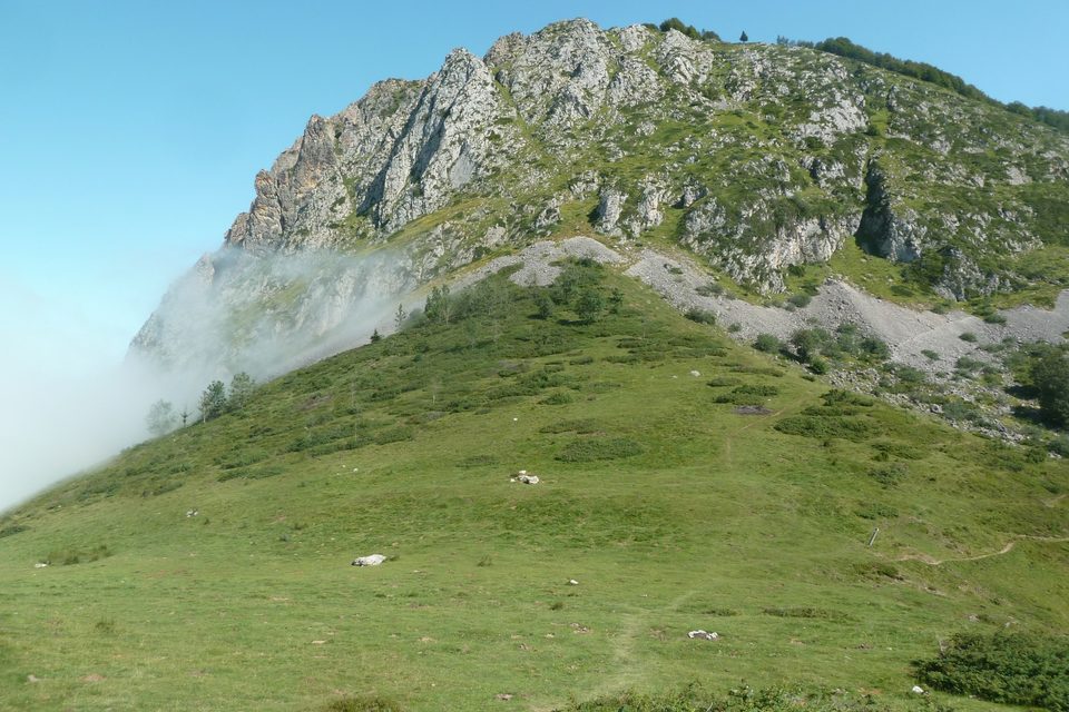 L'estive verdoyante du col de Bazès