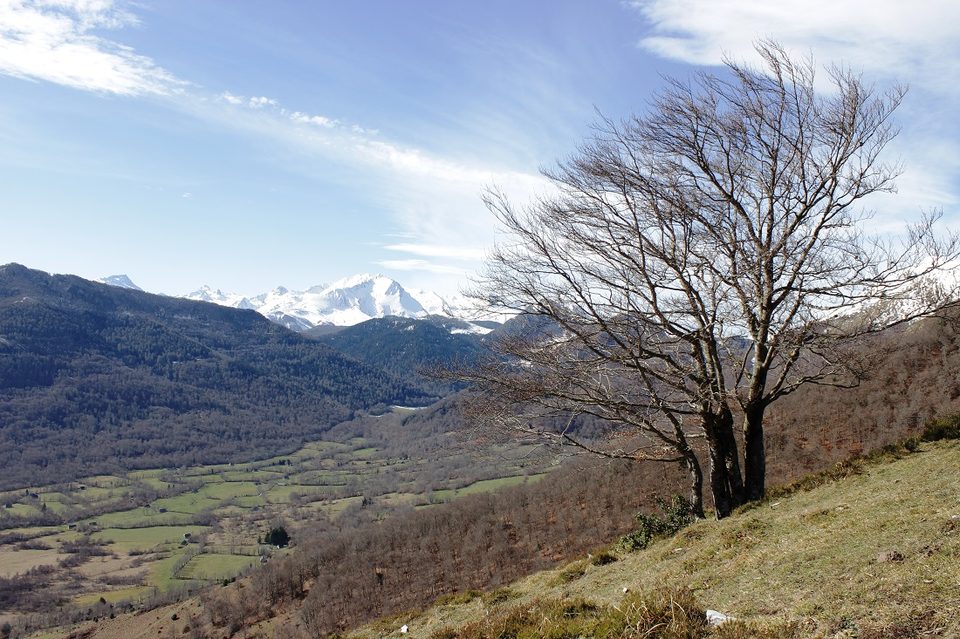 Vue sur la vallée du Bergons