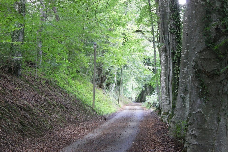 La boucle de la Reine Hortense