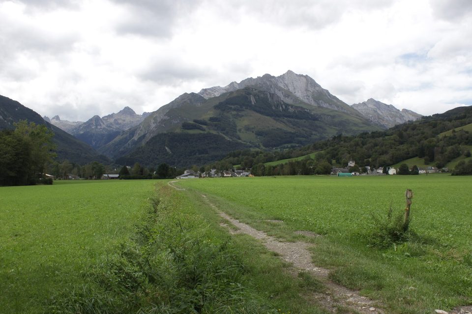 A travers les prairies