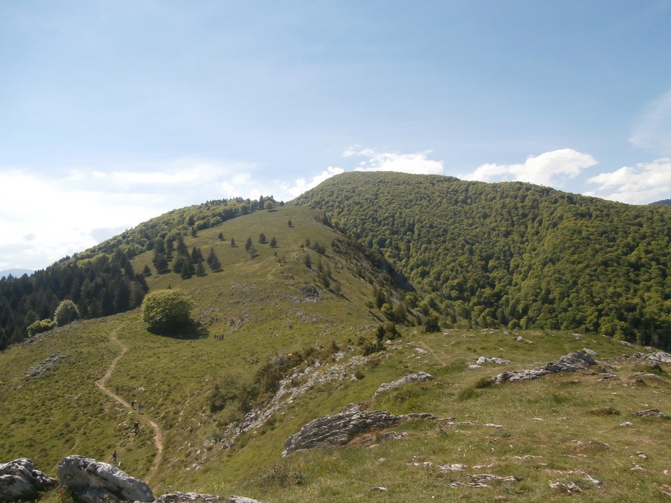 Le Monné