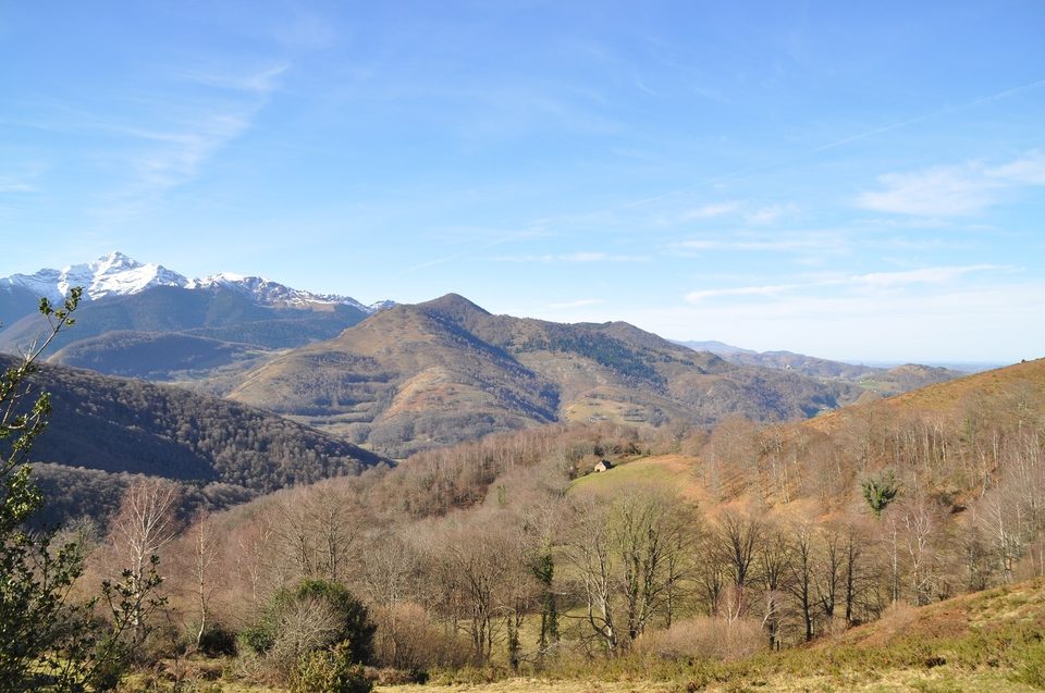 Les Bernadaus