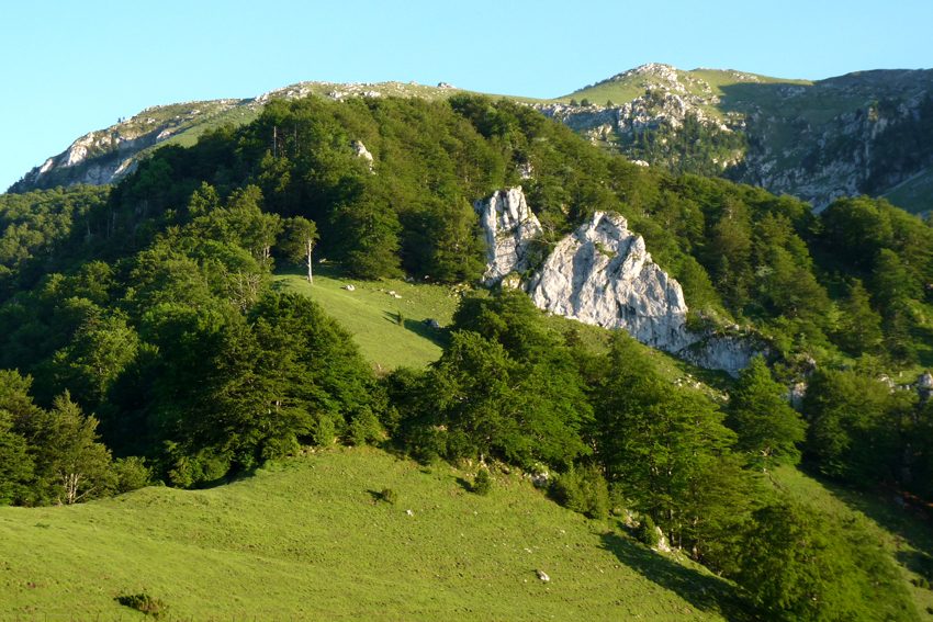 Le Col de Oueil Luzent