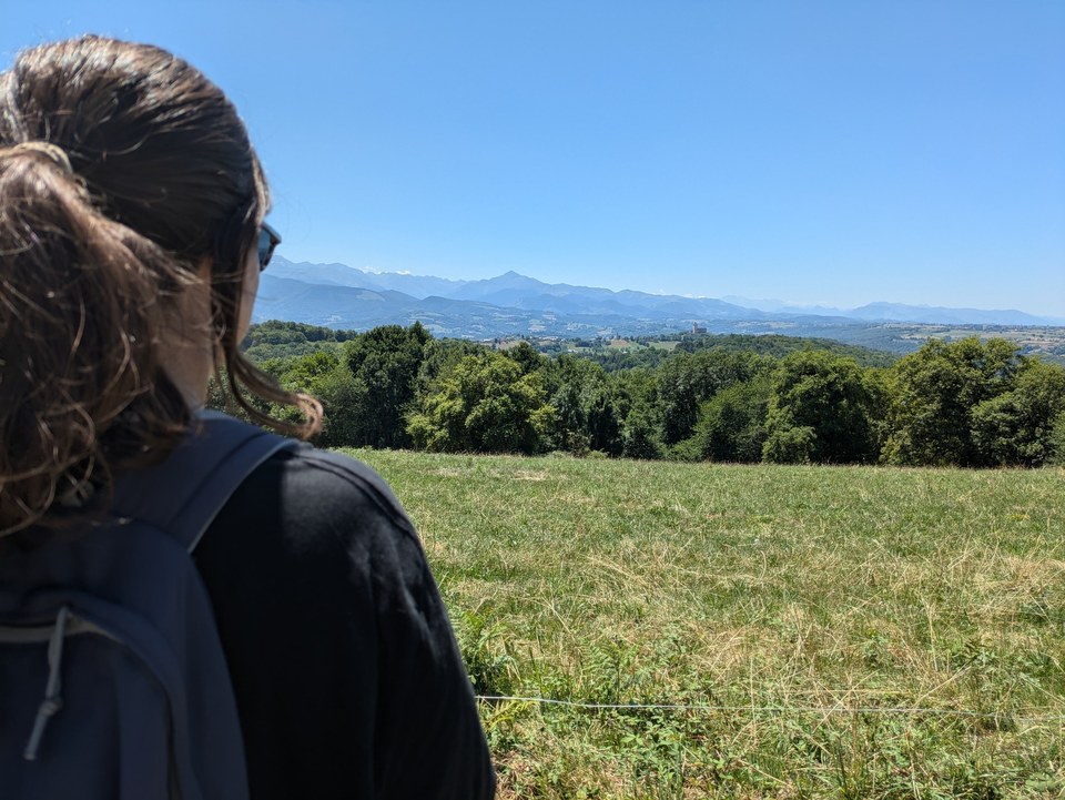 Vue sur les Pyrénées