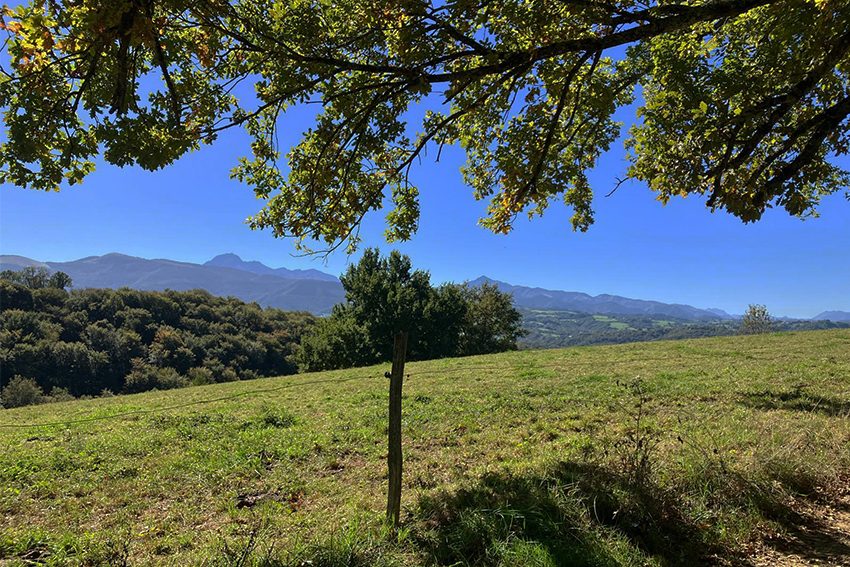 Vue sur les Pyrénées