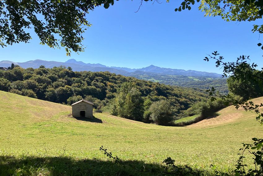 Grange