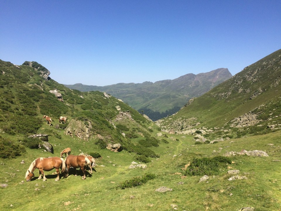 20190527-ete-vallees-lac-Peyrolade@TPM-8