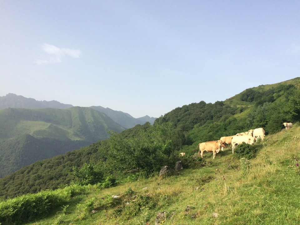 20160720-ete-vallees-courtaou-empyeye@TPM-2