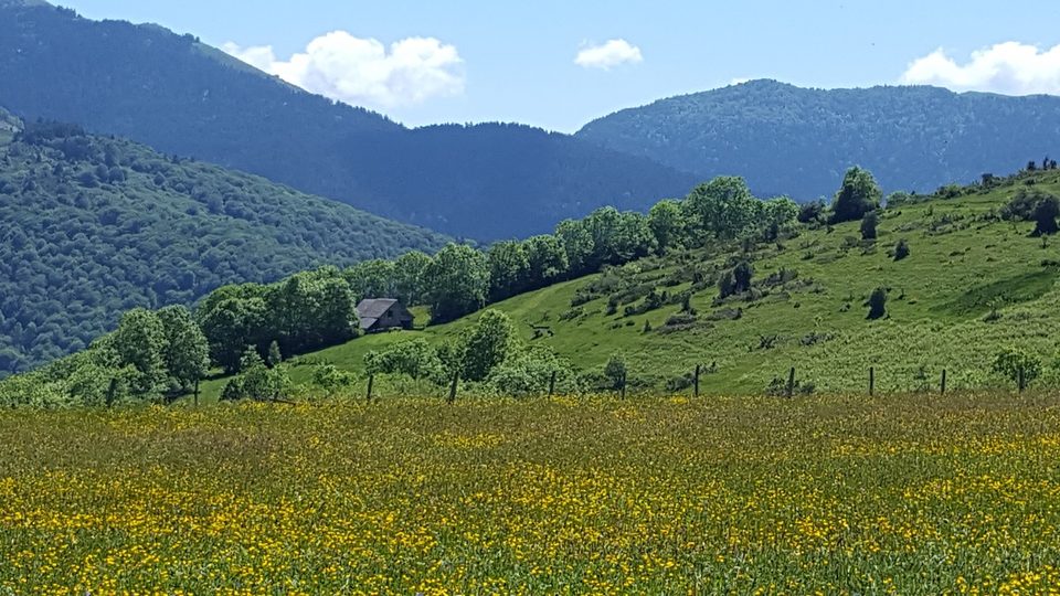 Les granges des Sarrats