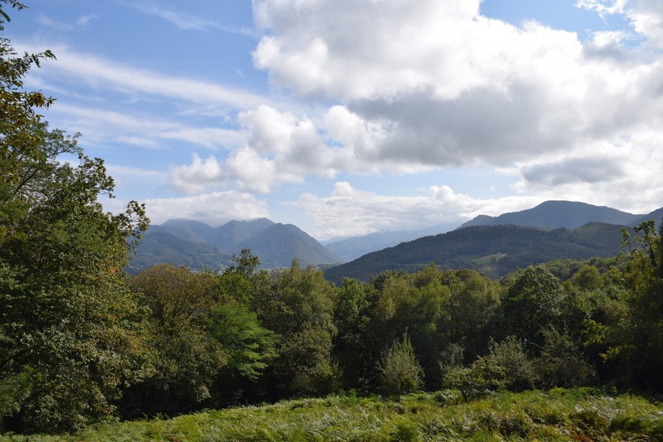 La boucle de la forêt de Pouzac