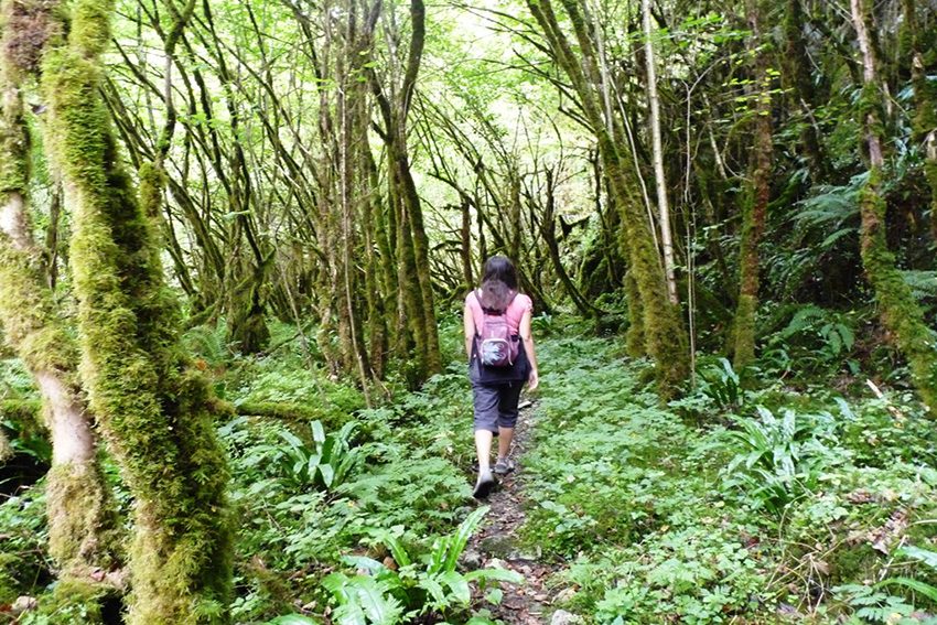 Chemin de la Cantère