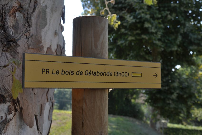 Bois de Gelabonde