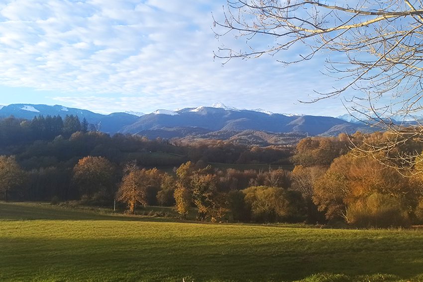 Vue des Baronnies depuis le chemin des tumulus