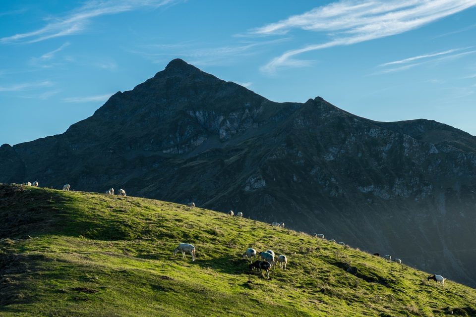 2019-ete-vallees-montaigu@Ugo-Dassy-1