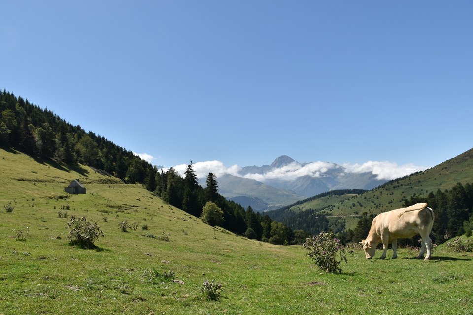 Col d'Aspin©OT04