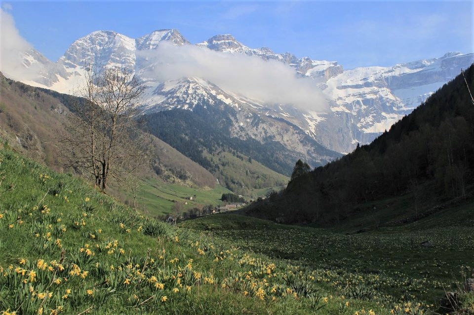 Sur le chemin du retour, aux abords du village