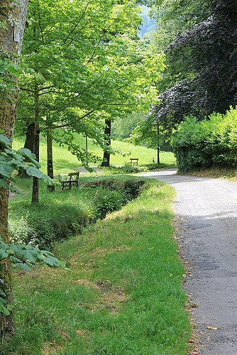 le vallon de salut