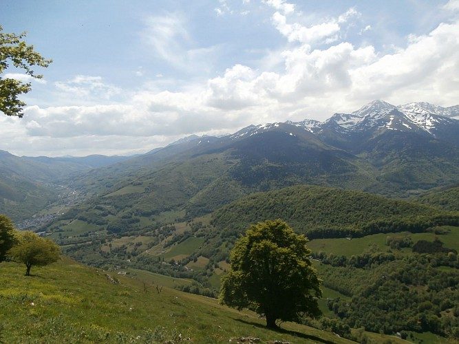 le Monné