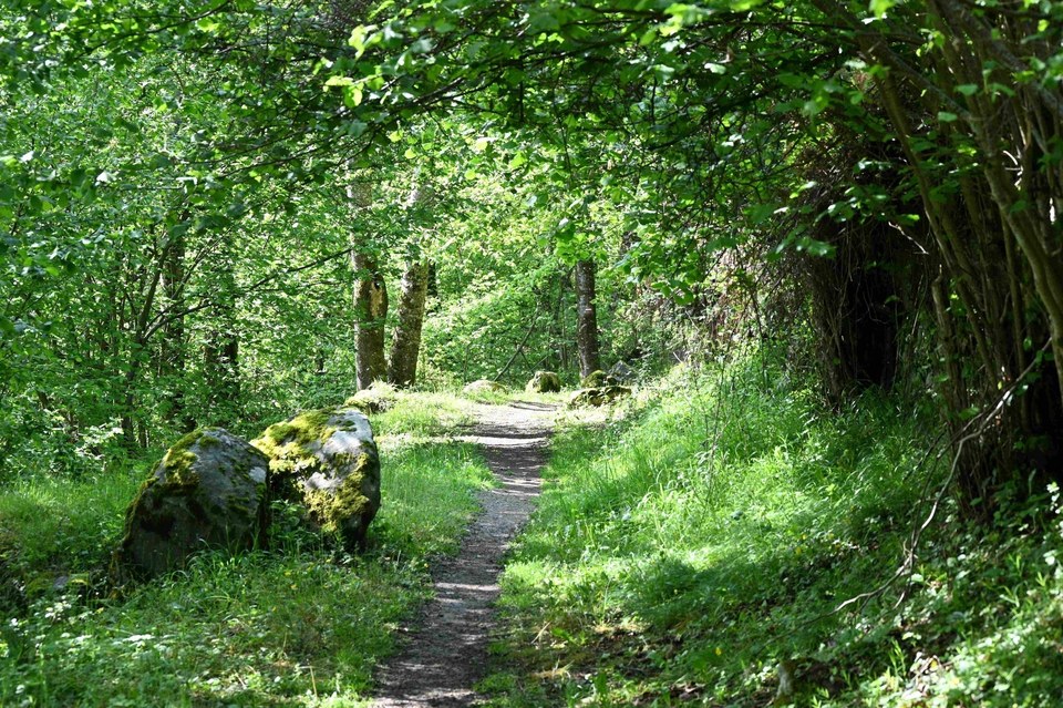 AGNOUEDE-┬®AliceLaffont_LuzTourisme(1)
